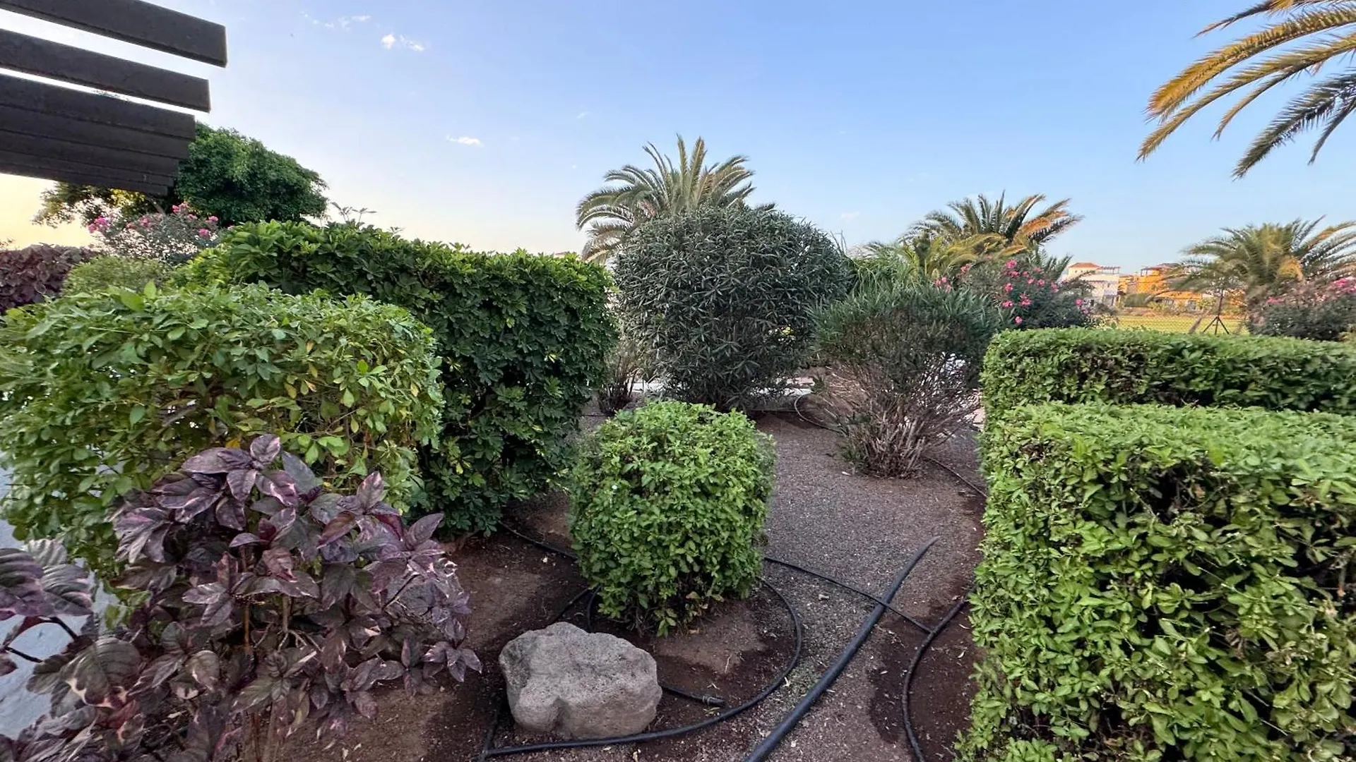 Amarilla Golf Scorpio Apartment San Miguel de Abona Spain