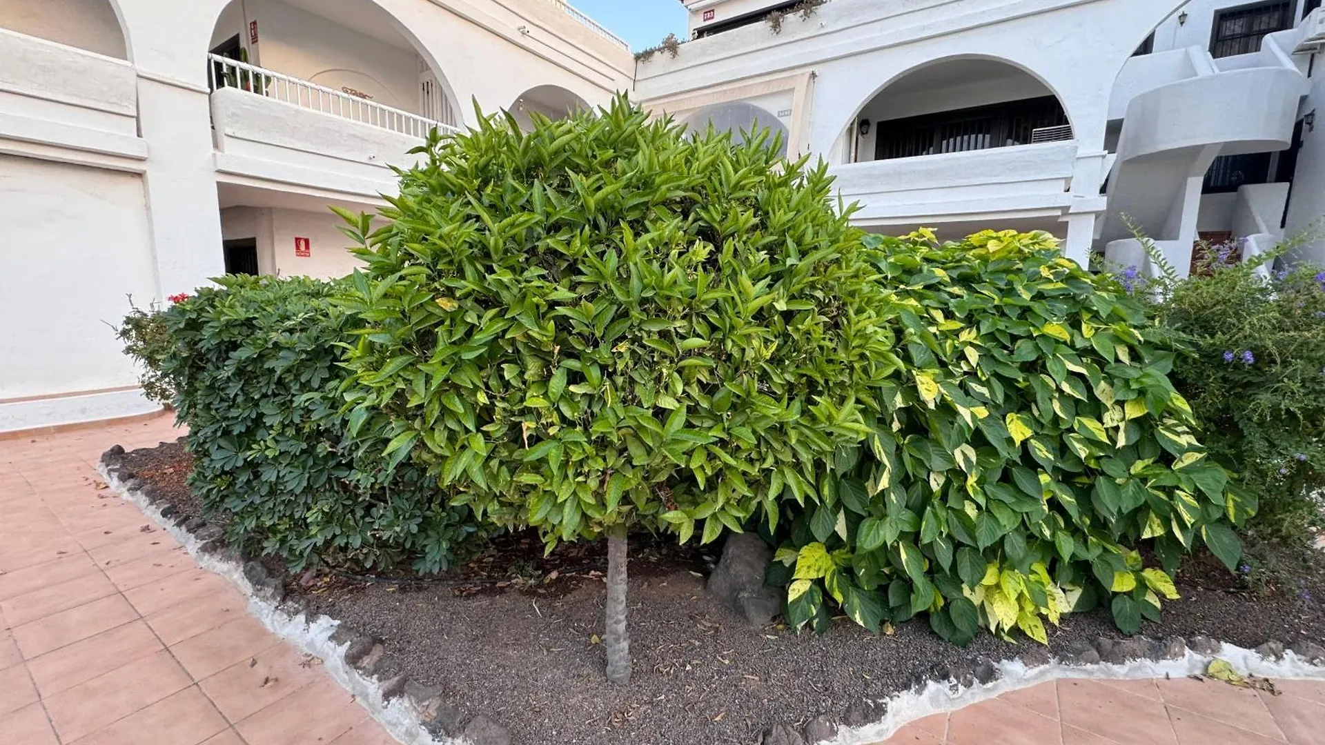 Amarilla Golf Scorpio Apartment San Miguel de Abona